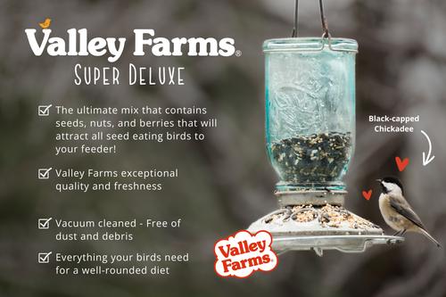 Show full view: Valley Farms Super Deluxe Wild Bird Food, 40-lb bag slide 7 of 9