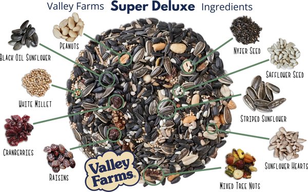 Show full view: Valley Farms Super Deluxe Wild Bird Food, 40-lb bag slide 6 of 9