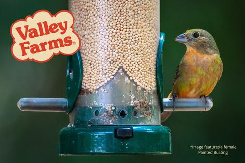 Show full view: Valley Farms White Millet Wild Bird Food, 20-lb bag slide 7 of 10