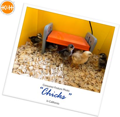 Show full view: K&H Pet Products Thermo-Poultry Heated Chicken Brooder slide 8 of 12