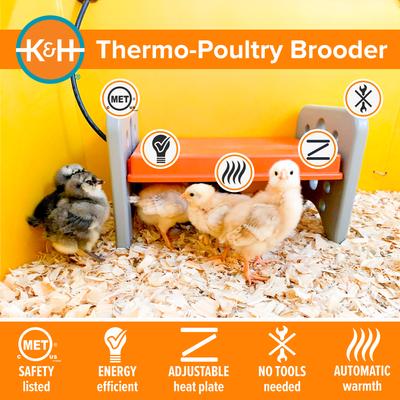 Show full view: K&H Pet Products Thermo-Poultry Heated Chicken Brooder slide 4 of 12