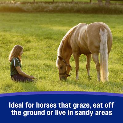 Show full view: Farnam SandClear Natural Psyllium Fiber Crumbles Apple/Molasses Flavor Horse Supplement, 3-lb bucket slide 5 of 11