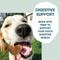 Show in main carousel: Shameless Pets Peanut Butter Split Peanut Butter & Yogurt Flavor Crunchy Dog Treats, 12-oz box slide 6 of 9