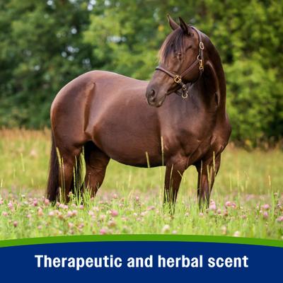 Show full view: Farnam Equisect Botanical Fly Repellent Cat Dog & Horse Spray, 128-fl oz bottle slide 5 of 10