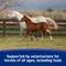 Show in main carousel: Farnam SandClear Natural Psyllium Fiber Crumbles Apple/Molasses Flavor Horse Supplement, 10-lb bucket slide 6 of 11