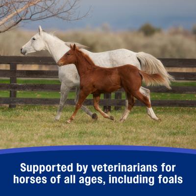 Show full view: Farnam SandClear Natural Psyllium Fiber Crumbles Apple/Molasses Flavor Horse Supplement, 10-lb bucket slide 6 of 11