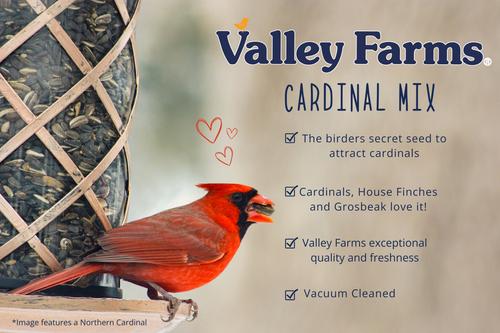 Show full view: Valley Farms Cardinal Bird Food, 3-lb bag slide 7 of 9