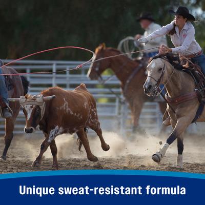 Show full view: Farnam Endure Sweat Resistant Horse Fly Spray, 15-fl oz bottle slide 4 of 12