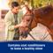 Show in main carousel: Farnam Tri-Tec 14 Fly Repellent for Horses, 1-gal bottle slide 5 of 12