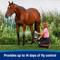 Show in main carousel: Farnam Endure Sweat Resistant Horse Fly Spray, 1-gal bottle slide 6 of 11