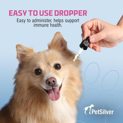 Show full view: PetSilver Respiratory Cough & Immune Support for Dogs & Cats, 2-fl oz bottle slide 3 of 9