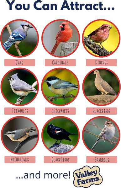 Show full view: Valley Farms Deluxe Wild Bird Food, 40-lb bag slide 4 of 9