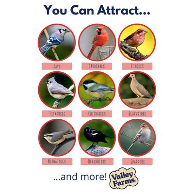 Show full view: Valley Farms Deluxe Wild Bird Food, 40-lb bag slide 4 of 9