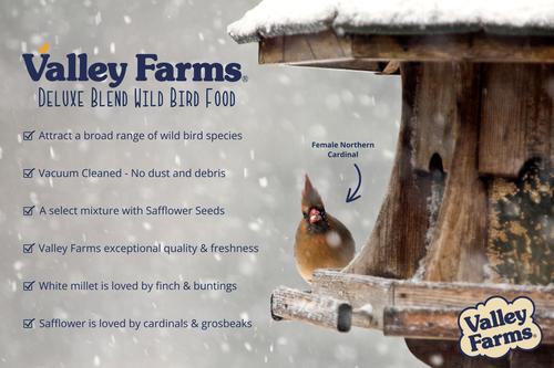 Show full view: Valley Farms Deluxe Wild Bird Food, 40-lb bag slide 7 of 9