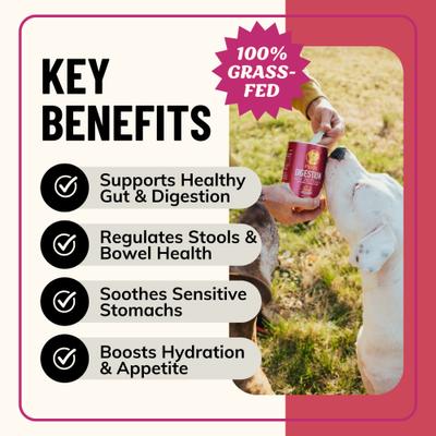 Show full view: Fido's Bone Broth Digestion Grass-Fed Beef Bone Broth Powdered Dog Food Topper, 7-oz jar slide 3 of 9