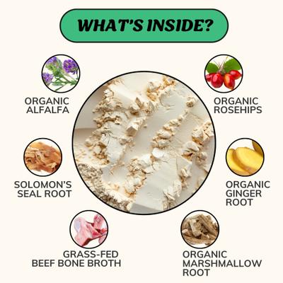 Show full view: Fido's Bone Broth Mobility Grass-Fed Beef Bone Broth Powdered Dog Food Topper, 7-oz jar slide 4 of 9