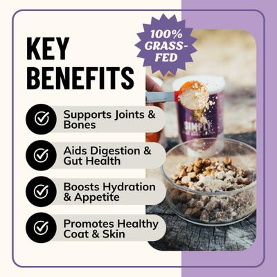 Show full view: Fido's Bone Broth Simply Grass-Fed Beef Bone Broth Powdered Dog Food Topper, 7-oz jar slide 3 of 10