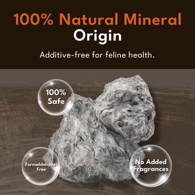 Show full view: PetSnowy Premium Clumping Clay Litter, 12-lb jug, 2 count slide 4 of 8