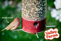 Valley Farms Deluxe Wild Bird Food, 4-lb bag slide 2 of 9