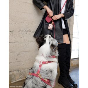 Sunny Tails 4-in-1 Convertible Hands Free Cloud Dog Leash, 8.5-ft long, 5/8-in wide, Mulberry Burgundy