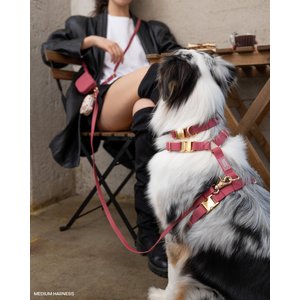 Sunny Tails 4-in-1 Convertible Hands Free Cloud Dog Leash, 8.5-ft long, 5/8-in wide, Mulberry Burgundy