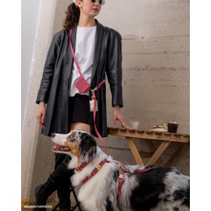 Sunny Tails 4-in-1 Convertible Hands Free Cloud Dog Leash, 8.5-ft long, 5/8-in wide, Mulberry Burgundy