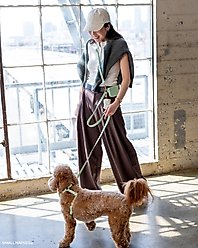 Sunny Tails 4-in-1 Convertible Hands Free Cloud Dog Leash, 8.5-ft long, 5/8-in wide, Pistachio Green slide 2 of 8