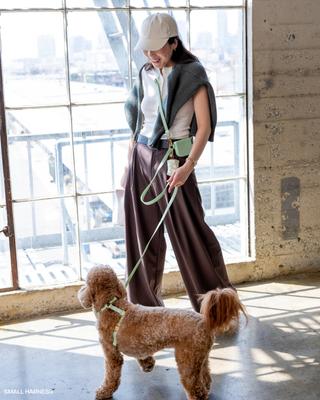 Show full view: Sunny Tails 4-in-1 Convertible Hands Free Cloud Dog Leash, 8.5-ft long, 5/8-in wide, Pistachio Green slide 7 of 10