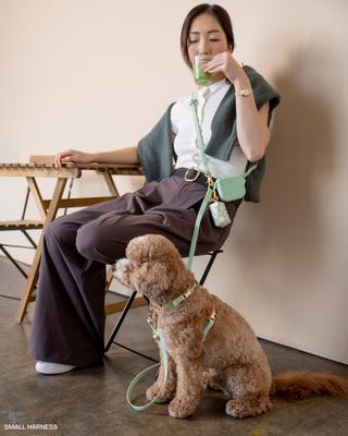 Show full view: Sunny Tails 4-in-1 Convertible Hands Free Cloud Dog Leash, 8.5-ft long, 5/8-in wide, Pistachio Green slide 8 of 10