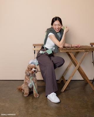 Show full view: Sunny Tails Cloud Lite Waterproof Dog Harness, Pistachio Green, Small: 15 to 21-in chest slide 3 of 9