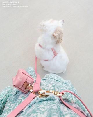 Show full view: Sunny Tails 4-in-1 Convertible Hands Free Cloud Dog Leash, 8.5-ft long, 5/8-in wide, Perfect Pink slide 6 of 10