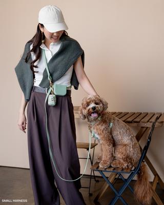 Show full view: Sunny Tails 4-in-1 Convertible Hands Free Cloud Dog Leash, 8.5-ft long, 5/8-in wide, Pistachio Green slide 2 of 10