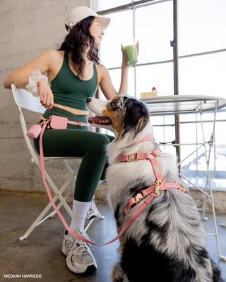 Show full view: Sunny Tails Cloud Waterproof Dog Collar, Perfect Pink, Large: 16 to 24-in neck, 1-in wide slide 4 of 9