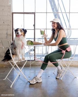 Show full view: Sunny Tails Cloud Lite Waterproof Dog Harness, Perfect Pink, Large: 26 to 38-in chest slide 5 of 11