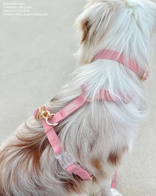 Show full view: Sunny Tails Cloud Waterproof Dog Collar, Perfect Pink, Large: 16 to 24-in neck, 1-in wide slide 8 of 9