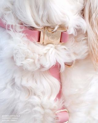 Show full view: Sunny Tails Cloud Waterproof Dog Collar, Perfect Pink, Large: 16 to 24-in neck, 1-in wide slide 5 of 9