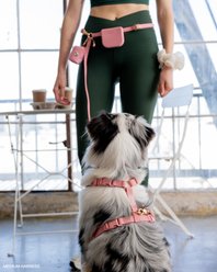 Sunny Tails Cloud Lite Waterproof Dog Harness, Perfect Pink, Large: 26 to 38-in chest slide 2 of 7