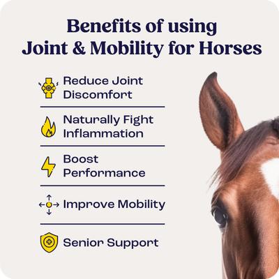 Show full view: Summit Animal Health Joint & Mobility Bites Horse Supplement, 30 count slide 3 of 8