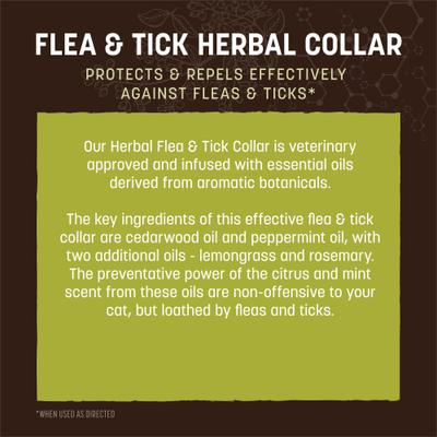 Show full view: Earth Animal Apothecary Natural Flea & Tick Herbal Collar for Cats slide 4 of 7