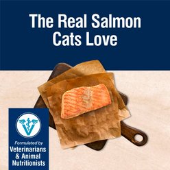 Blue Buffalo True Solutions Skin & Coat Care Natural Salmon Adult Dry Cat Food, 3.5-lb bag slide 2 of 8