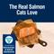 Show in main carousel: Blue Buffalo True Solutions Skin & Coat Care Natural Salmon Adult Dry Cat Food, 3.5-lb bag slide 3 of 12