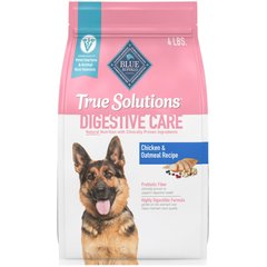 Can Dogs Take People Probiotics: Safety and Benefits Revealed