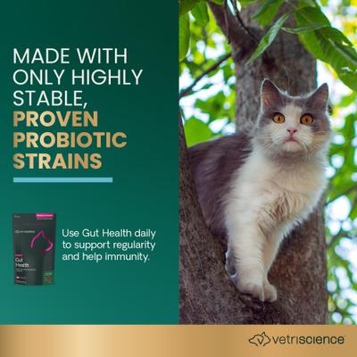 Show full view: VetriScience Probiotic Everyday Duck Flavored Soft Chews Digestive Supplement for Cats, 60 count slide 3 of 10