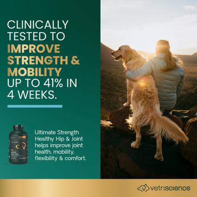 Show full view: VetriScience GlycoFlex Plus Chewable Tablets Joint Supplement for Dogs, 120 count slide 3 of 11