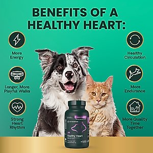 VetriScience Cardio Strength Capsules Heart Supplement for Cats & Dogs, 90 count