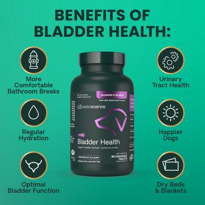 Show full view: VetriScience Bladder Strength Chewable Tablets Urinary Supplement for Dogs, 90 count slide 6 of 10