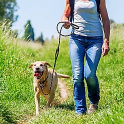 ATIFBOP Double Handle Polypropylene Reflective Rope Dog Leash, Blue, 6-ft long, 1/2-in wide slide 2 of 6
