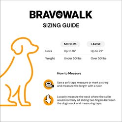 BravoWalk Pro No-Pull Dog Training Collar, Black, Medium: 11 to 16-in neck, 3/4-in wide slide 2 of 9