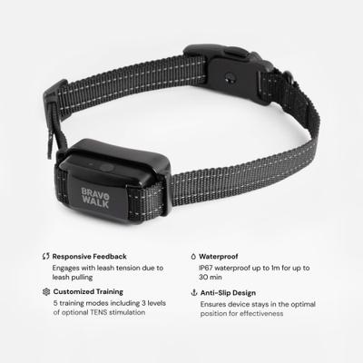 Show full view: BravoWalk Pro No-Pull Dog Training Collar, Black, Medium: 11 to 16-in neck, 3/4-in wide slide 5 of 12