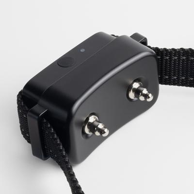 Show full view: BravoWalk Pro No-Pull Dog Training Collar, Black, Medium: 11 to 16-in neck, 3/4-in wide slide 7 of 12